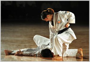 Budo karate Tableview Cape Town