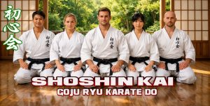 Goju Ryu Table View Cape Town