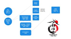lineage chart of the history of SHOSHINKAI