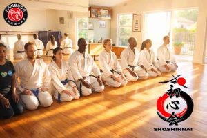 ShoshinkAI HOMBU DOJO cAPE tOWN