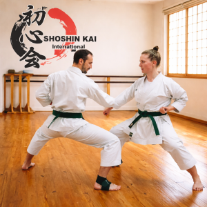 shoshinkai Dojo Table View -- Training