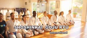 Goju Ryu karate Cape town South Africa