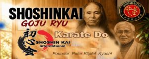 Shoshinkai Goju ryu banner